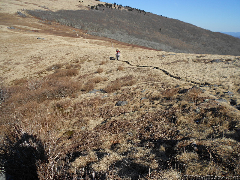 Whitetop Mtn