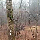 Double Spring Shelter by hiker37691 in North Carolina & Tennessee Shelters