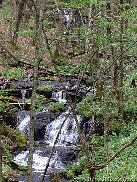 Small Falls Dall Flats Area