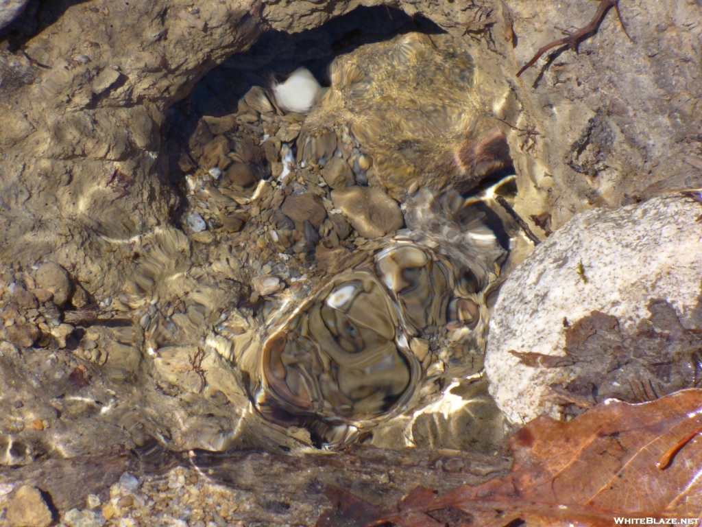 Spring (Hole in the ground w/ water bubbling up.