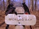 Hey Butthead, It says: LICK LOG. Ha Ha Ha by Pedaling Fool in Trail & Blazes in North Carolina & Tennessee