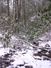 Water source at Groundhog Creek Shelter by barefoot in Trail & Blazes in North Carolina & Tennessee