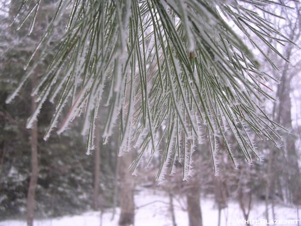 Groundhog Creek Shelter Frost