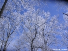 Hawks Roost by barefoot in Trail & Blazes in North Carolina & Tennessee