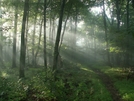 Early Morning Sun by vanwag in Trail & Blazes in Virginia & West Virginia
