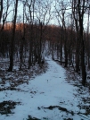 Cold morning on the trail by vanwag in Views in Virginia & West Virginia