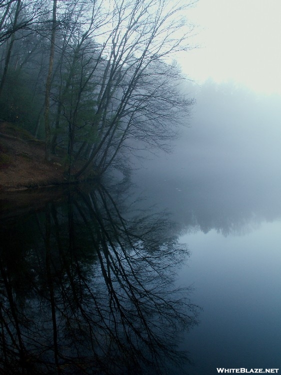 Morning by the lake