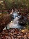 Water And Log by vanwag in Views in Virginia & West Virginia