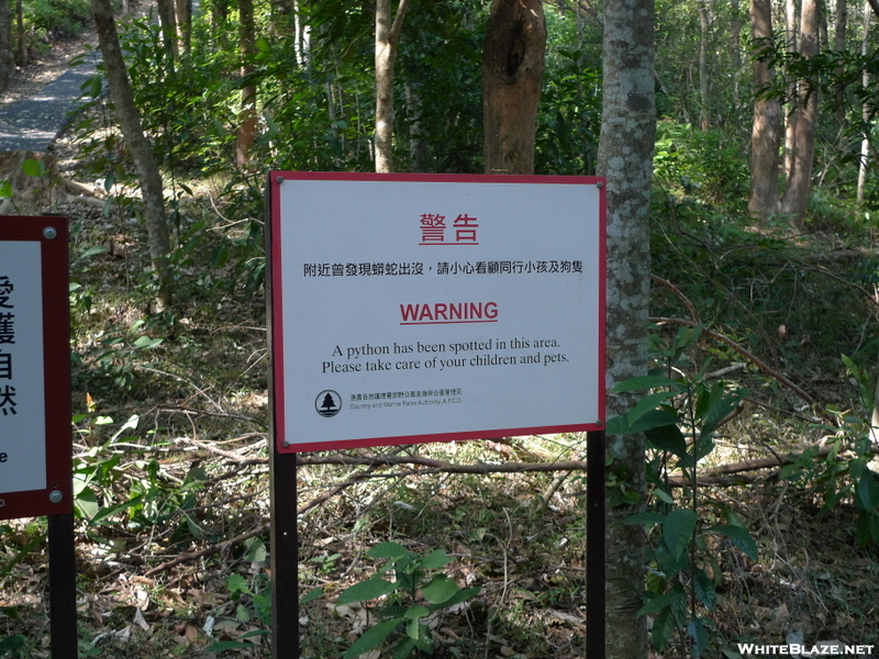 Maclehose Trail, Hong Kong New Territories