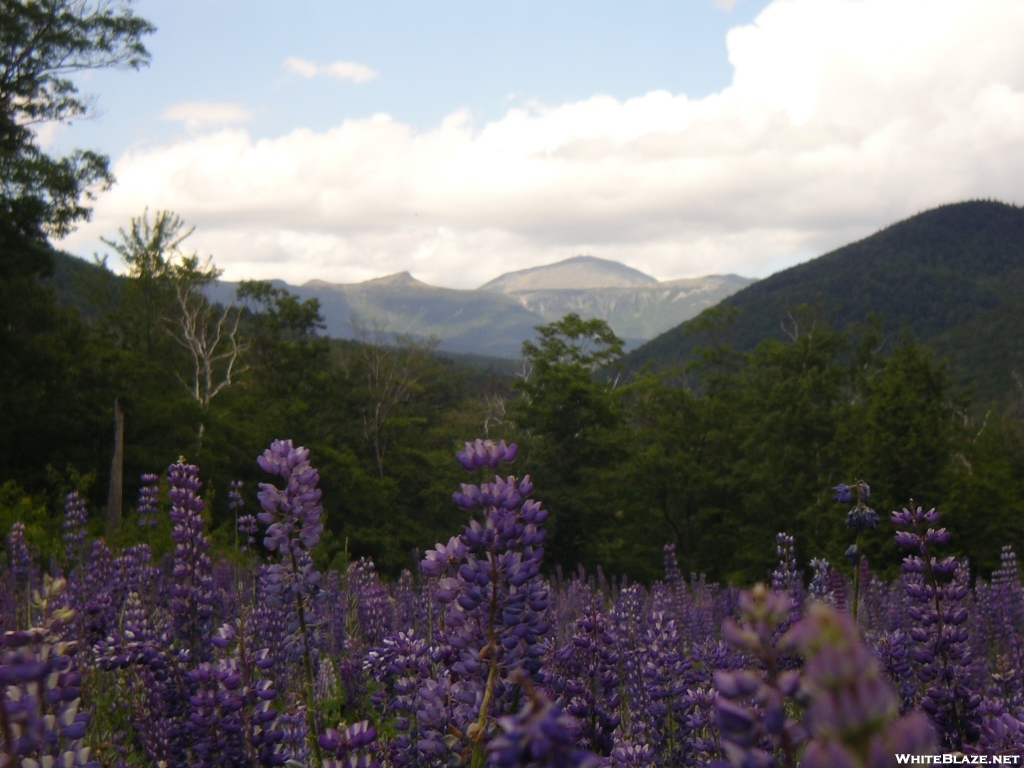 Mount Washington