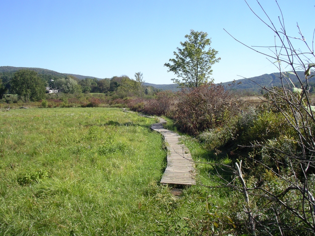 Tyringham Valley boardwalk