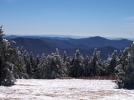 Roan Mt. by Nate in Views in North Carolina & Tennessee