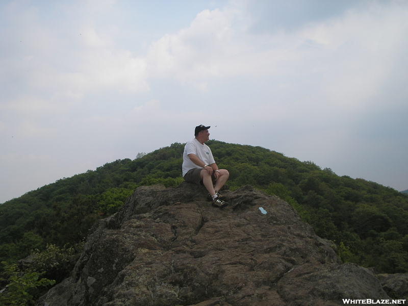 Dad On Top Of Bearfence