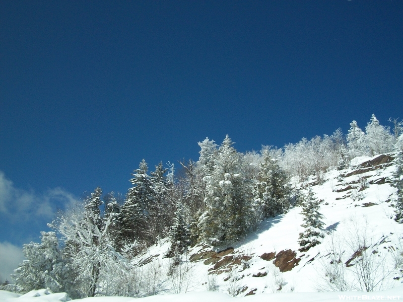 Newfound Gap