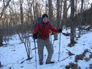 Deep Gap To Windingstair Gap by Lucky Dog in Section Hikers