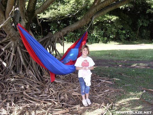 Young Hammock Camper