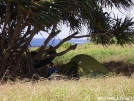 Eureka! Pinnacle Pass 2XTA by Hana_Hanger in Tent camping
