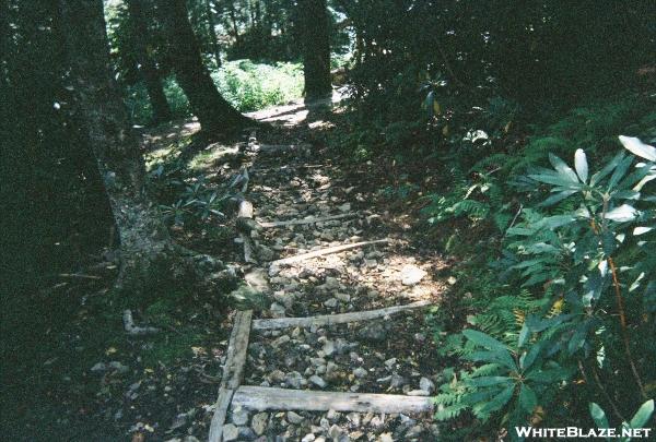 Rebuilt Shelter at Cosby Knob TN