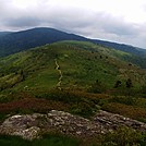 Roan Highlands by JamesConroy in Section Hikers