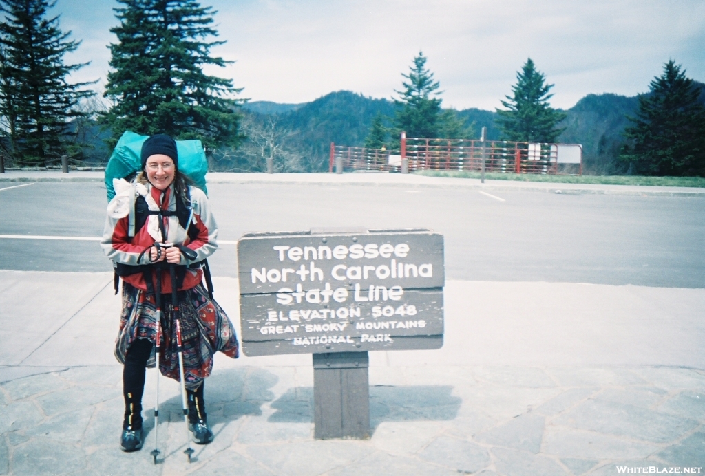 Wonder at Newfound Gap