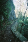 Trail near Davenport Gap by Wonder in Trail & Blazes in North Carolina & Tennessee