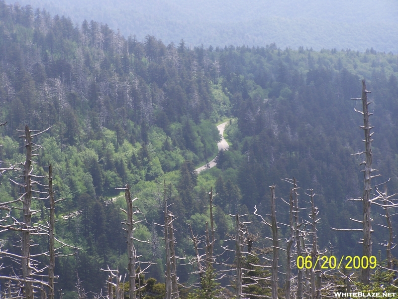 Looking Down At The Road From Clingmans Tower