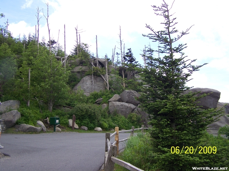 Path Up To Clingmans Dome .5 Mile