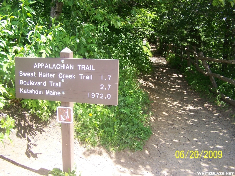 Famous Sign Northbound At At Newfound Gap