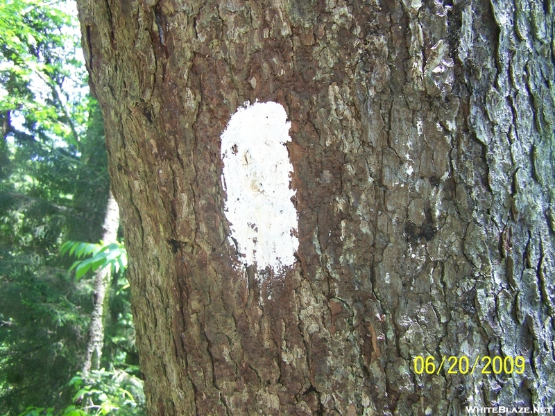 First Blaze Northbound Out Of Newfound Gap