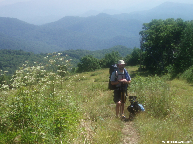 Siler Bald Trail