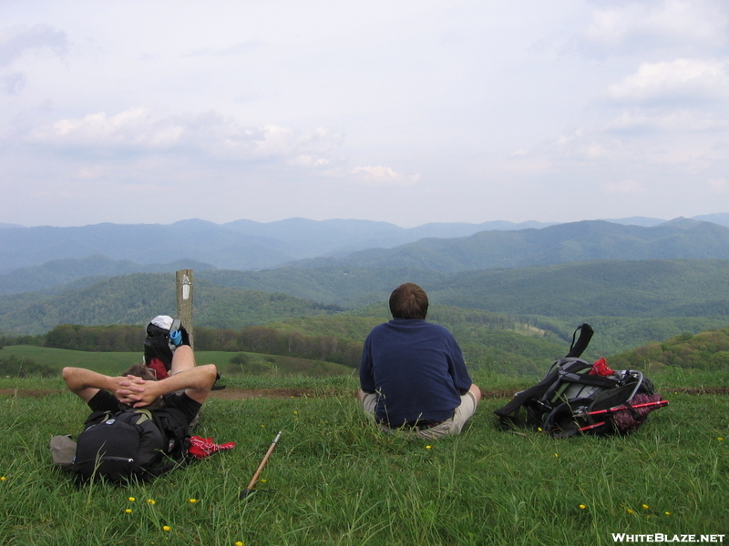 Max Patch