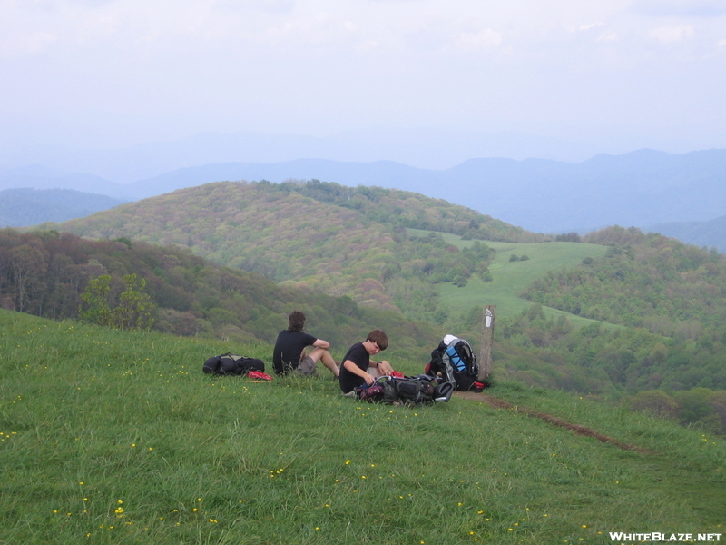 Max Patch