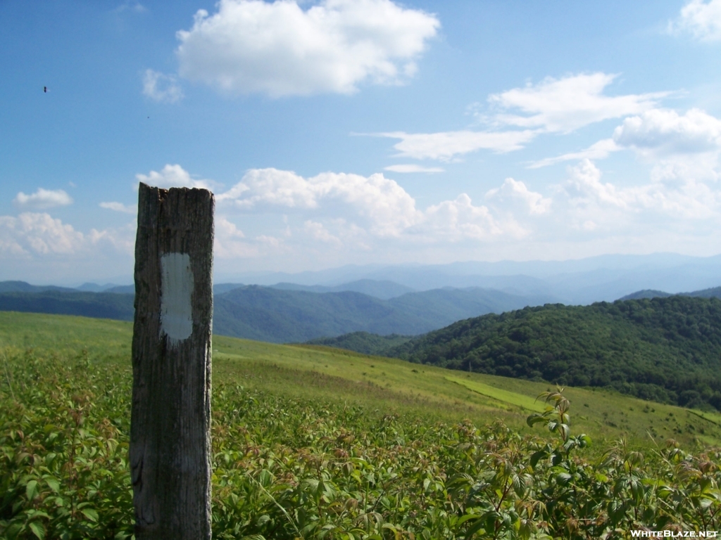 Max Patch