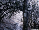 icey trail to tray by Rhettamus in Section Hikers