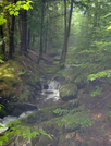 Stream On Gulf Of Slides Trail by Belgarion in Views in New Hampshire