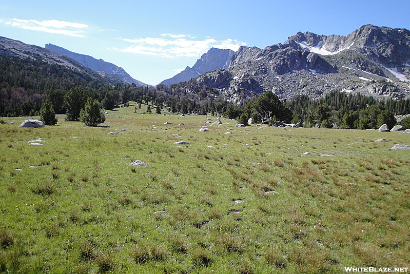 Meadow beside Rapid Lake in the Wind River Range in Wyoming