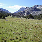 Meadow beside Rapid Lake in the Wind River Range in Wyoming