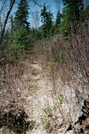 Boundary Waters Volunteer Vacation - Kek by Lyle in North Country NST