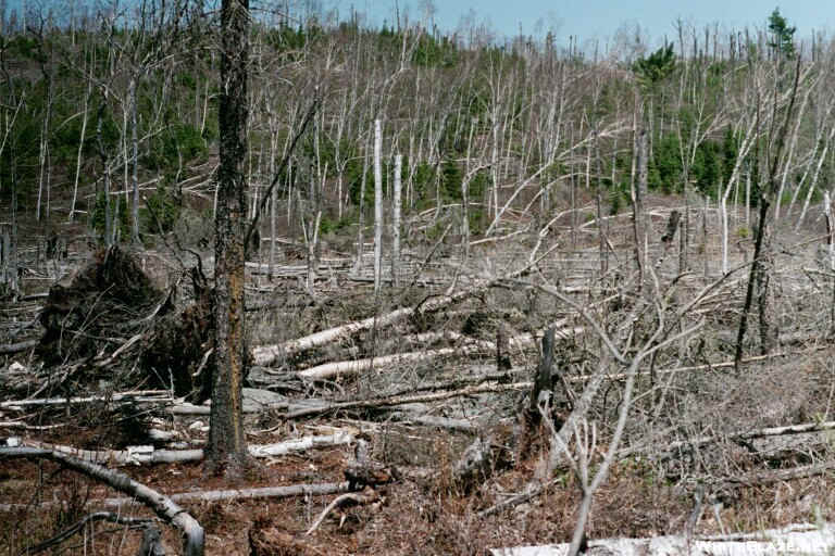 Boundary Waters Volunteer Vacation - Kek