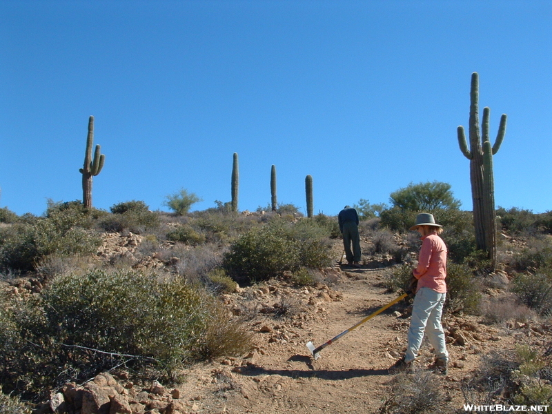 Arizona Trail Volunteer Vacation