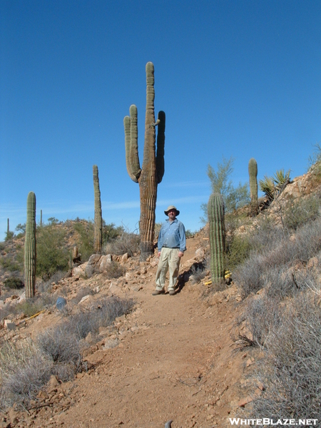 Arizona Trail Volunteer Vacation