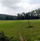 Crossing a meadow