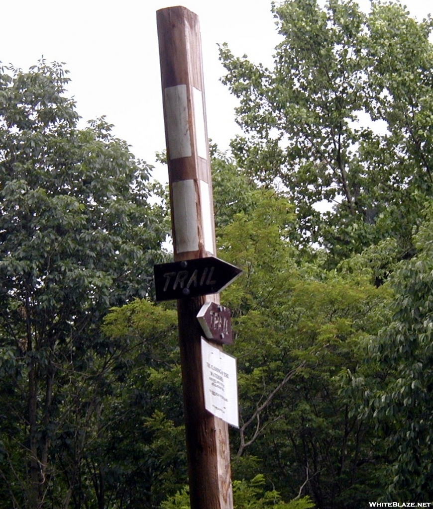 Trail marker at crossing of MD 491