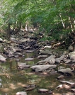 Little Antietam Creek by Birdny in Trail & Blazes in Maryland & Pennsylvania