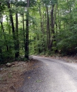 Warner Gap Hollow Rd