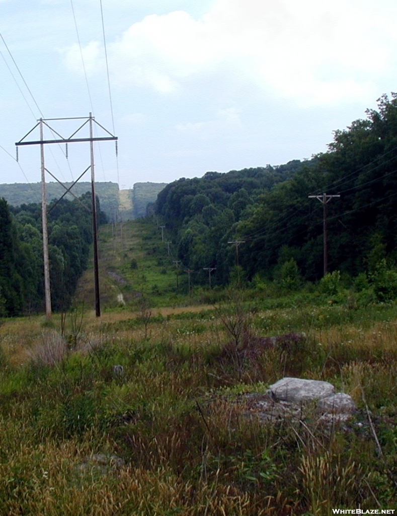 Power Line