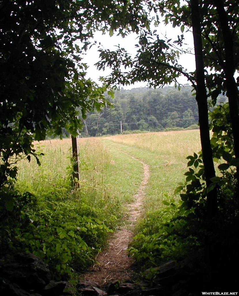 Trail heads south to Rt 77