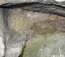 Eastern Pheobe nest near Mt Egbert in NY