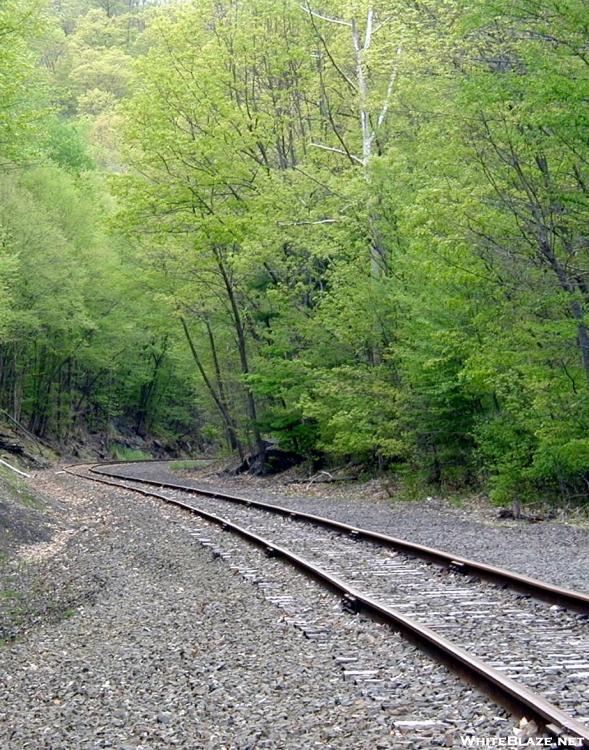 RR Tracks near Rt 55 in NY