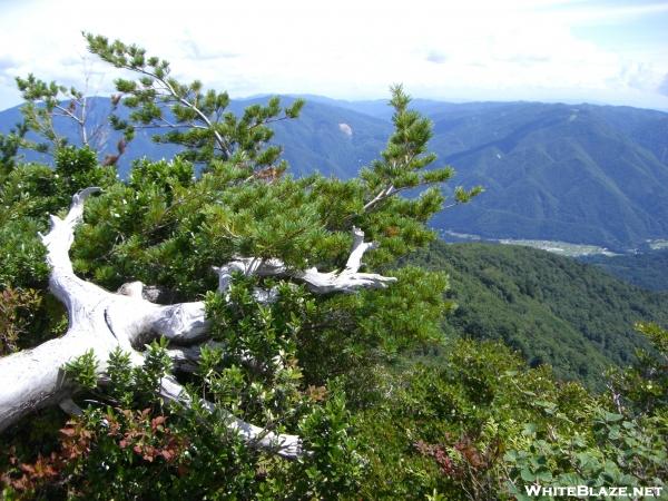 shots of mountains here in Japan!